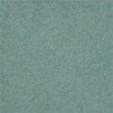 schua_imseeingstars_solid1