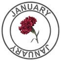 JANUARY