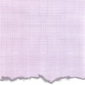 EOT_purple torn paper 1