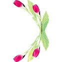 roses4