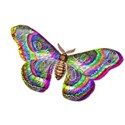 Paper Butterflys - 01