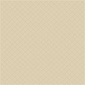 jennyL_travel_pattern3