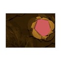 frame4