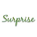 mts_wordart_birthday_surprise