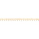 calalily_rainbow_edge1 copy