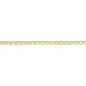 calalily_rainbow_lace1 copy