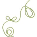 Pamperedprincess_it s_a_spring_thing_string copy
