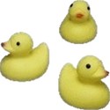 ducks