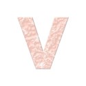 dvessels_cottagegarden_alphaV