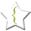 jss_toilandtrouble_Alpha Star Beadsbracket 1