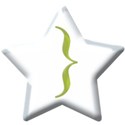 jss_toilandtrouble_Alpha Star Beadsbracket 2