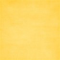 jss_justtreatsplease_paper solid yellow