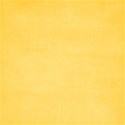 jss_justtreatsplease_paper solid yellow