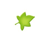 jss_justtreatsplease_pumpkin leaf 2