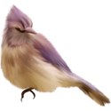 Bird01
