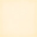 jss_happyfallyall_paper solid white