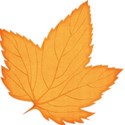 jss_happyfallyall_leaf 1 orange