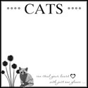 Cat Overlays #1 - 01