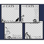 Cat Overlays #1 Cat Overlays #1