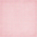 jss_tutucute_paper gingham 2