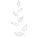 jss_tutucute_leaves white
