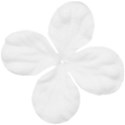 jss_tutucute_flower 2 white