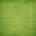 jss_applelicious_paper gingham green