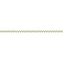 jss_applelicious_zig zag stitches green