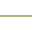 jss_applelicious_ribbon dots green