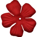 jss_applelicious_flower 2 red