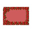 poinsettia frame