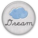 DZ_The Academy_dream