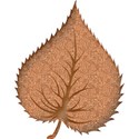 leaf2a