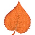 leaf2b