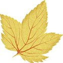 leaf1d