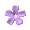 flowerpurple