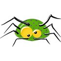 spider2