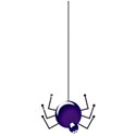 spiderhangingpurple