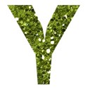 Y