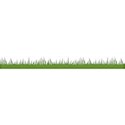 grassdkgreen