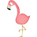flamingo2