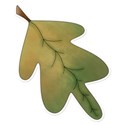 green maple leaf sticker