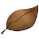 brown leaf