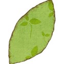 MLIVA_UBI-leaf1