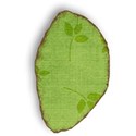 MLIVA_UBI-leaf5