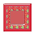 frame6