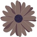 flower brown