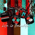 Life is beautiful cover copy
