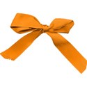 Orange Bow