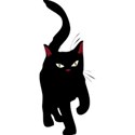 cat02